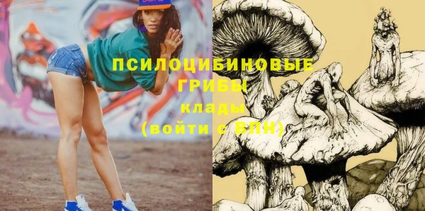 дживик Тобольск