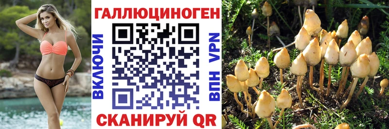 где найти наркотики  Воронеж  блэк спрут ссылка  Галлюциногенные грибы прущие грибы 